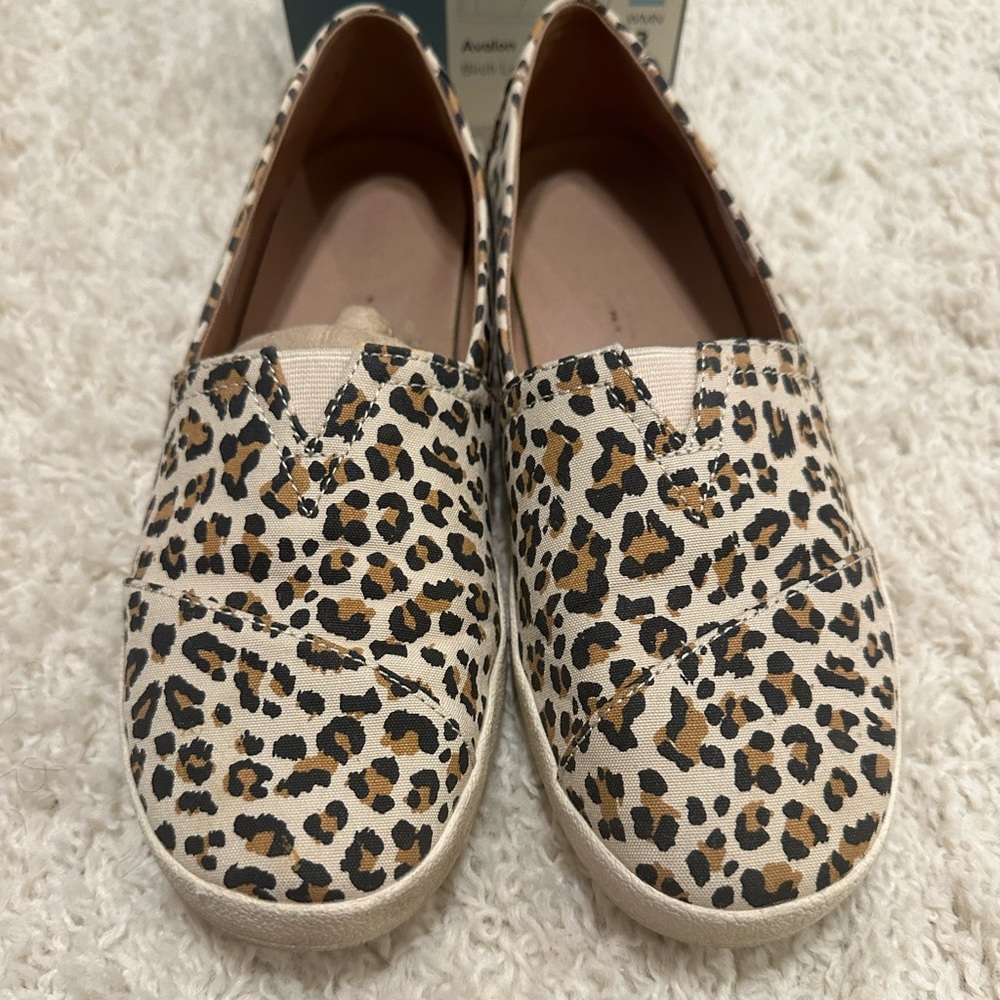 Leopard Tom’s